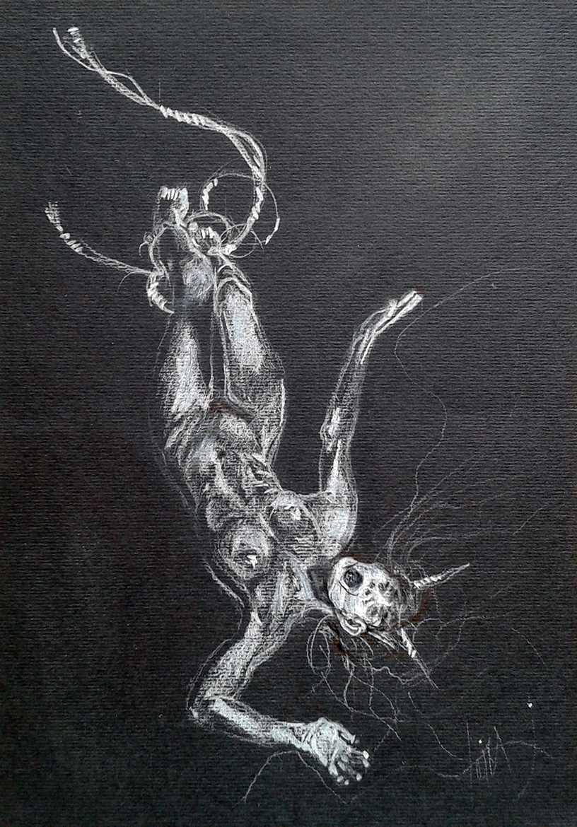 hanging pastel illustration