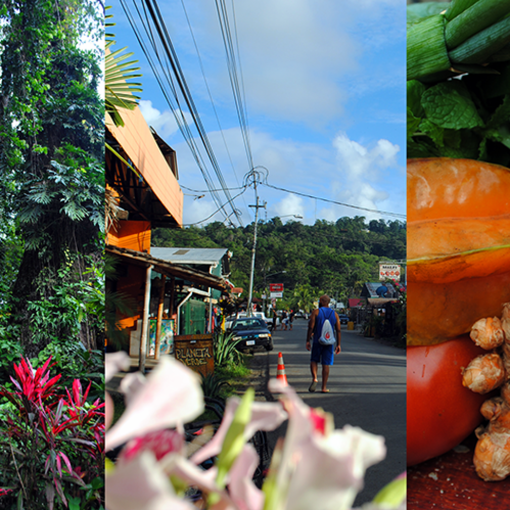 Puerto Viejo, Costa Rica and Where It All Began