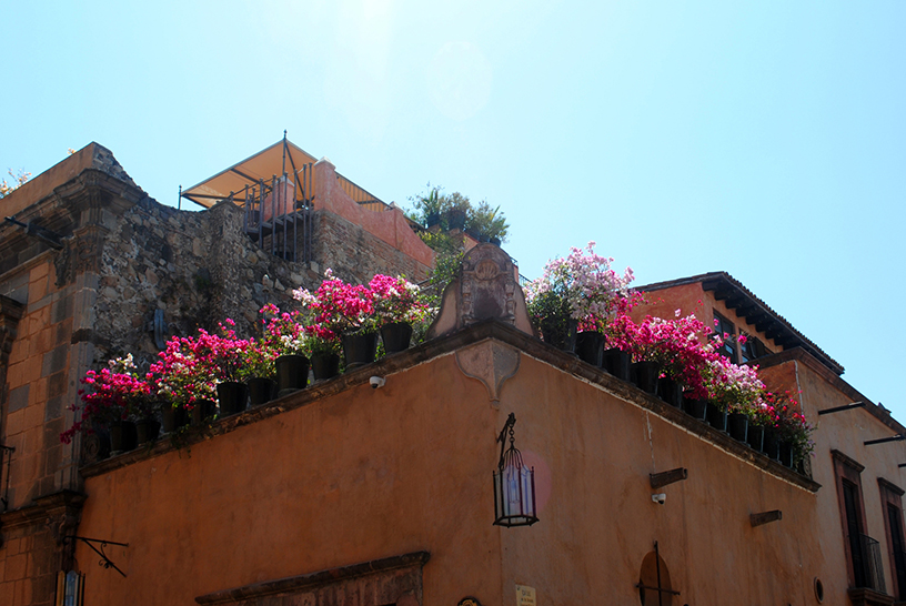 Colours of Mexico, San Miguel de Allende