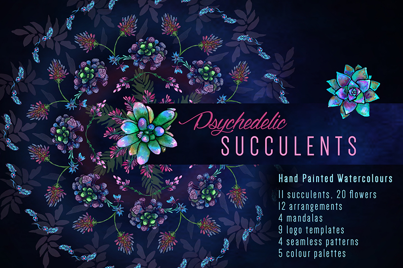 Psychedelic Succulent Pack - Postoasties