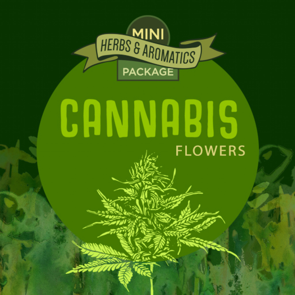 Mini Herbs & Aromatics Package: Cannabis
