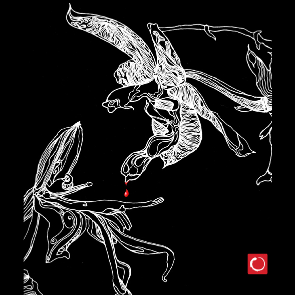 A Pair of Orchids Ink Line Drawings