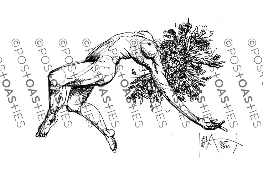 Flowerhead Character Illustrations